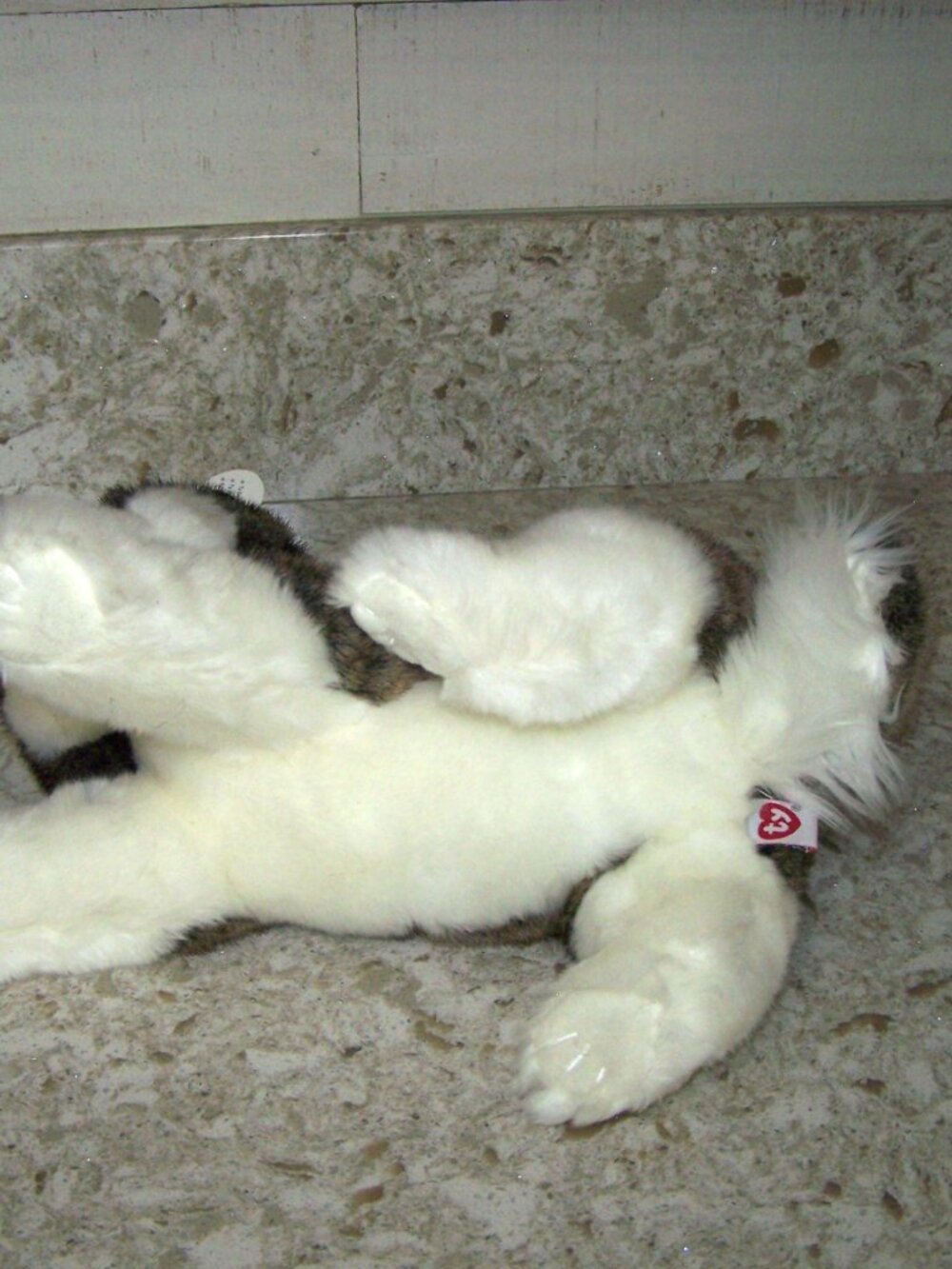 TY Classic Thunder Husky Plush Wolf Toy Beanie Babies - Picture 6 of 6